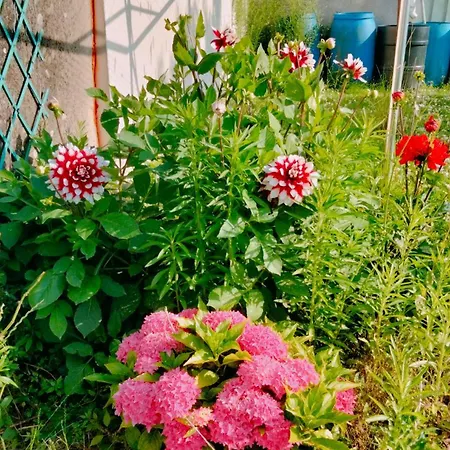 Meuble De 3 Lits * Amblainville